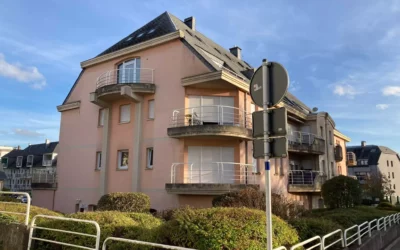 Vente immobilière à Dudelange : des conseils spécialisés
